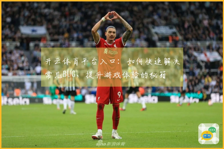 开云体育平台入口：如何快速解决常见BUG，提升游戏体验的秘籍