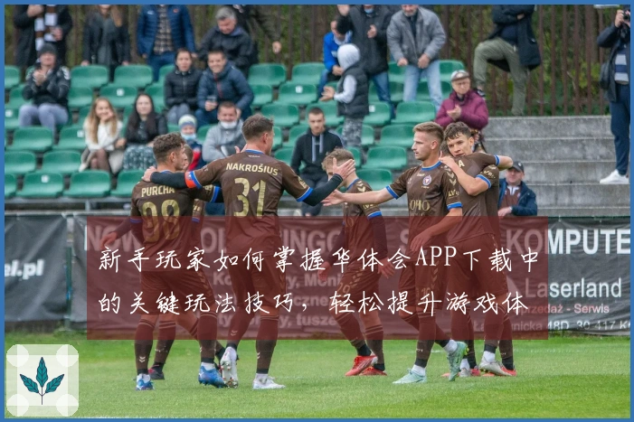 新手玩家如何掌握华体会APP下载中的关键玩法技巧，轻松提升游戏体验