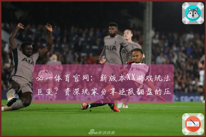 必一体育官网：新版本XX游戏玩法巨变？资深玩家分享逆风翻盘的压箱底技巧