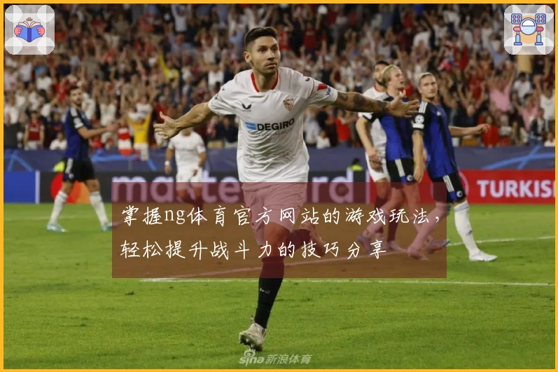 掌握ng体育官方网站的游戏玩法，轻松提升战斗力的技巧分享